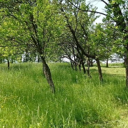 Oaza Milosci Lipinki  Exterior foto